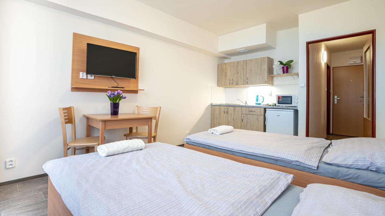 Apartmany A Studia Zamecky Park Litvínov Εξωτερικό φωτογραφία