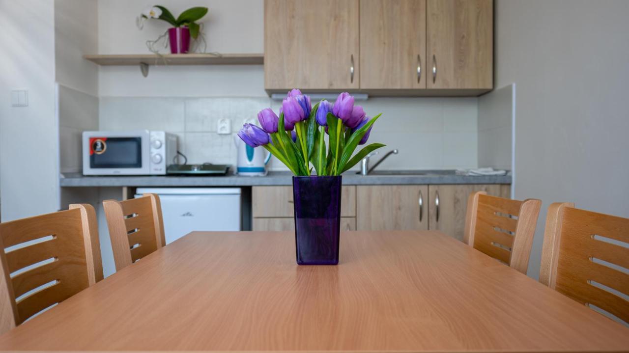 Apartmany A Studia Zamecky Park Litvínov Εξωτερικό φωτογραφία