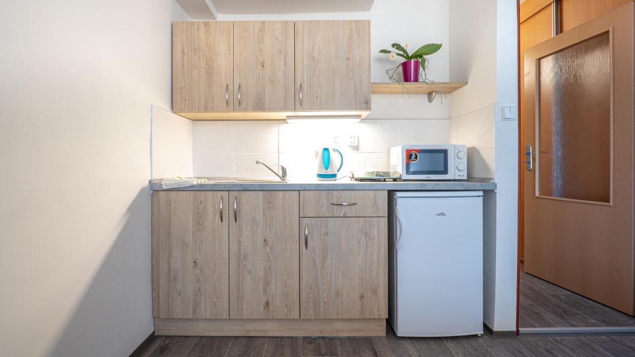 Apartmany A Studia Zamecky Park Litvínov Εξωτερικό φωτογραφία